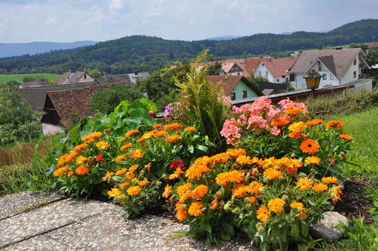 Gasthof Adler Guettingen Guttingen Dış mekan fotoğraf
